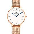 Часы Daniel Wellington Petite Roman Numerals DW00100681